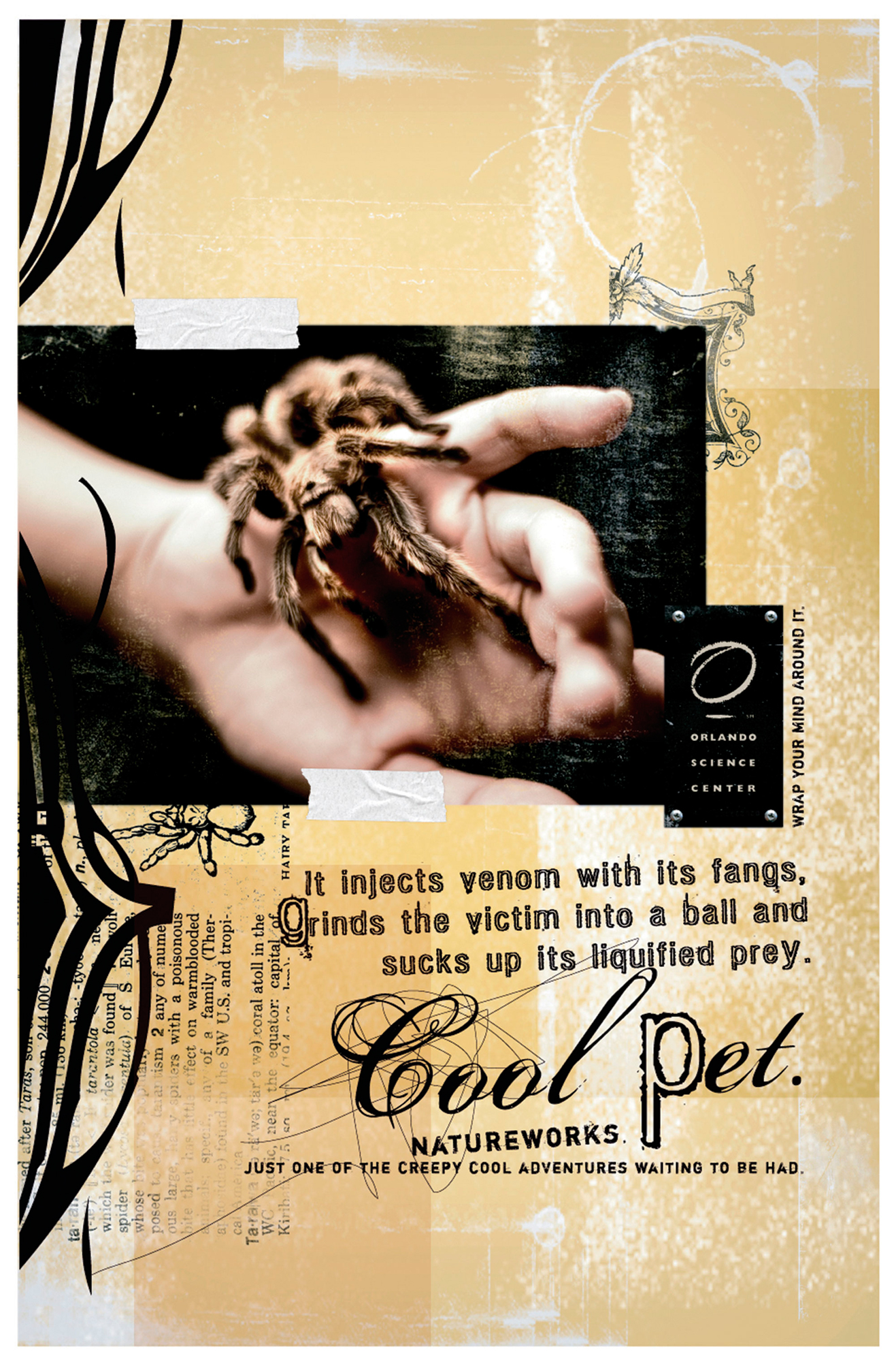 Wrap Your Mind Around It