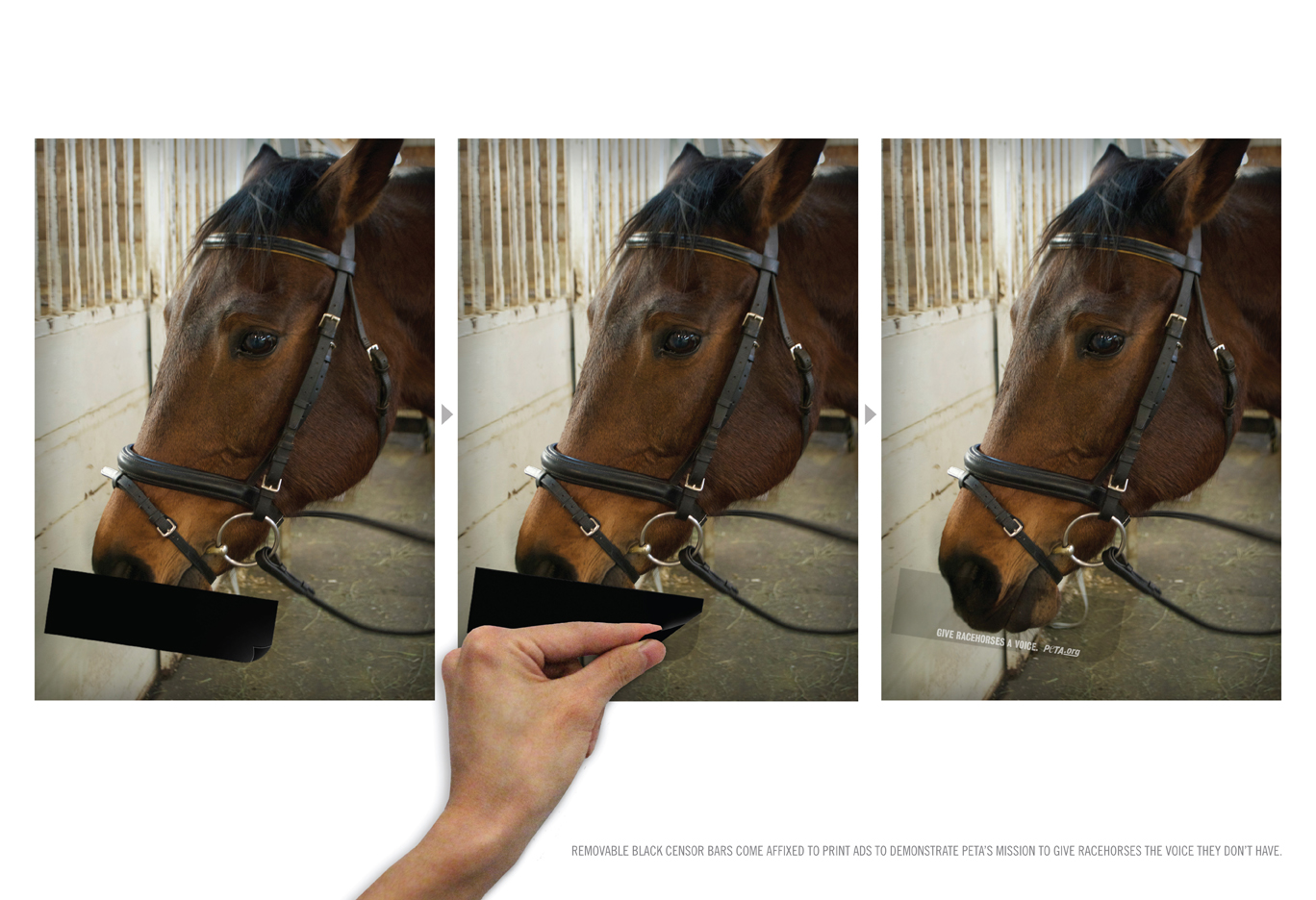 PETA Horse censored