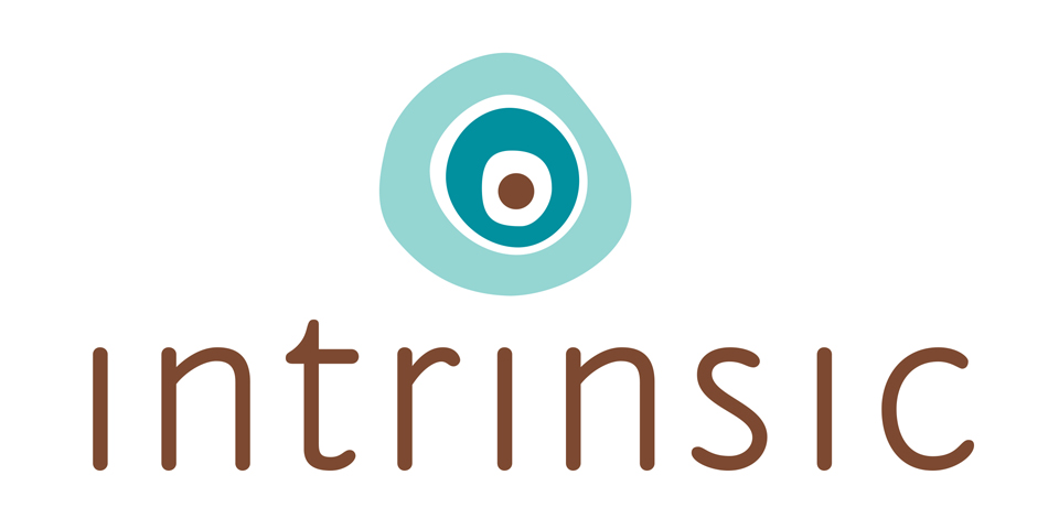Instrinsic Logo