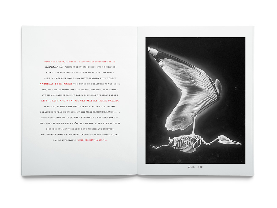 Andreas Feininger Black and White Magazine