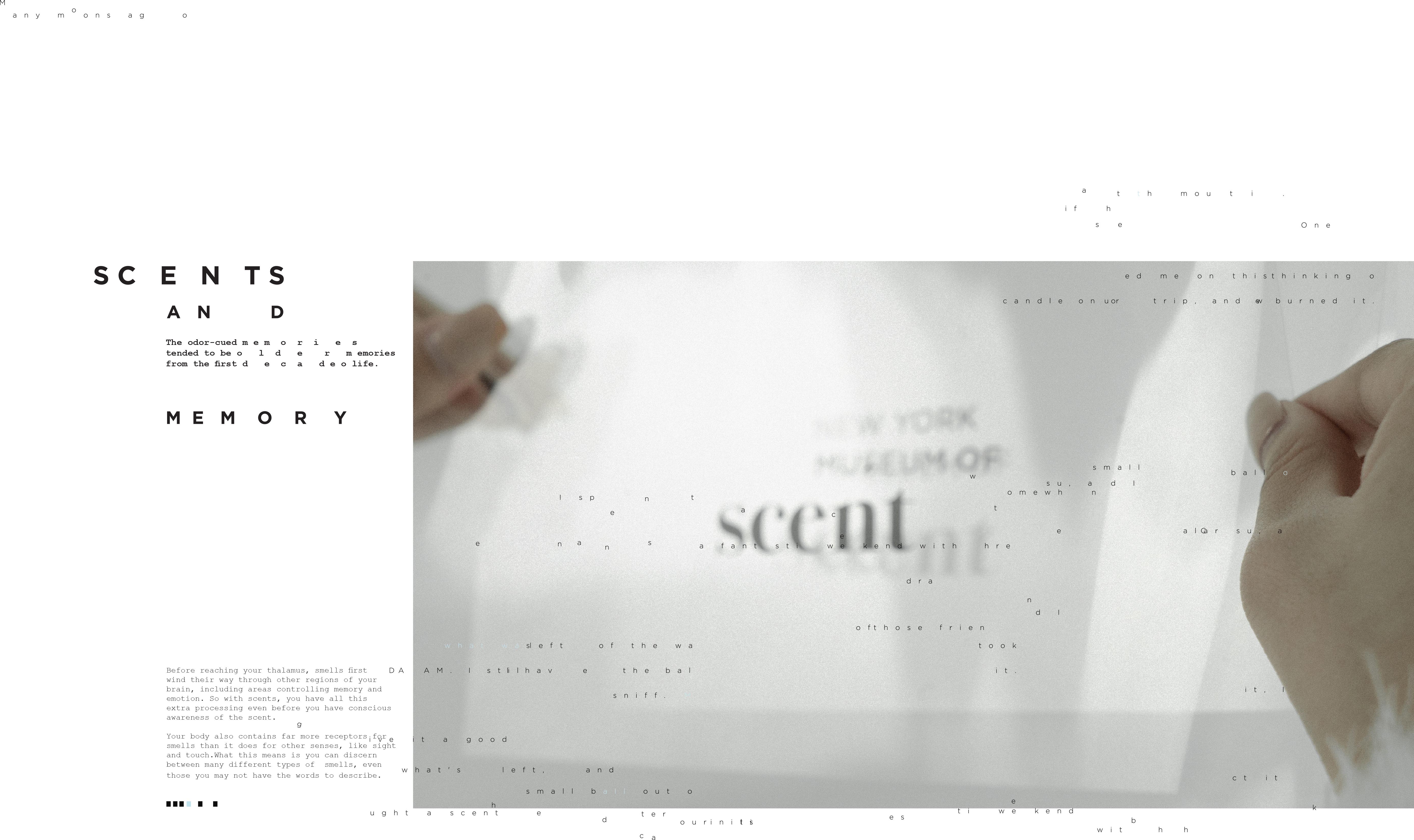 Museum of Scent