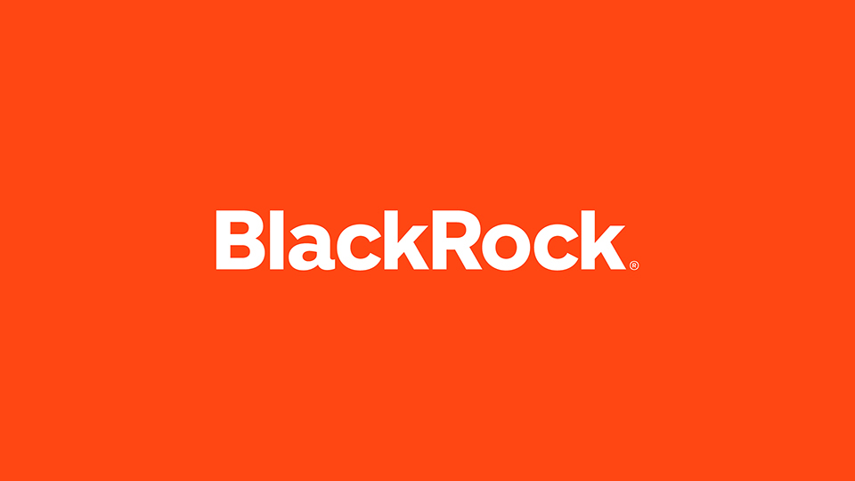 BlackRock Visual Identity System Graphis Portfolio