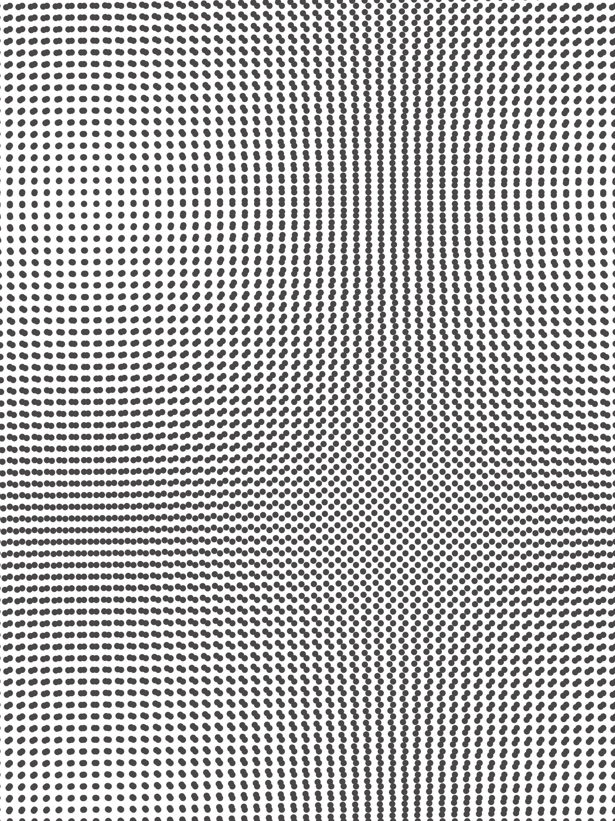 Stedelijk Moire Poster