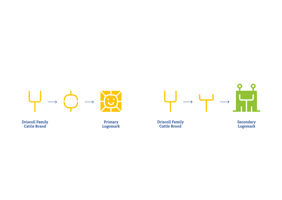 Driscoll Children's Hospital Brand Identity