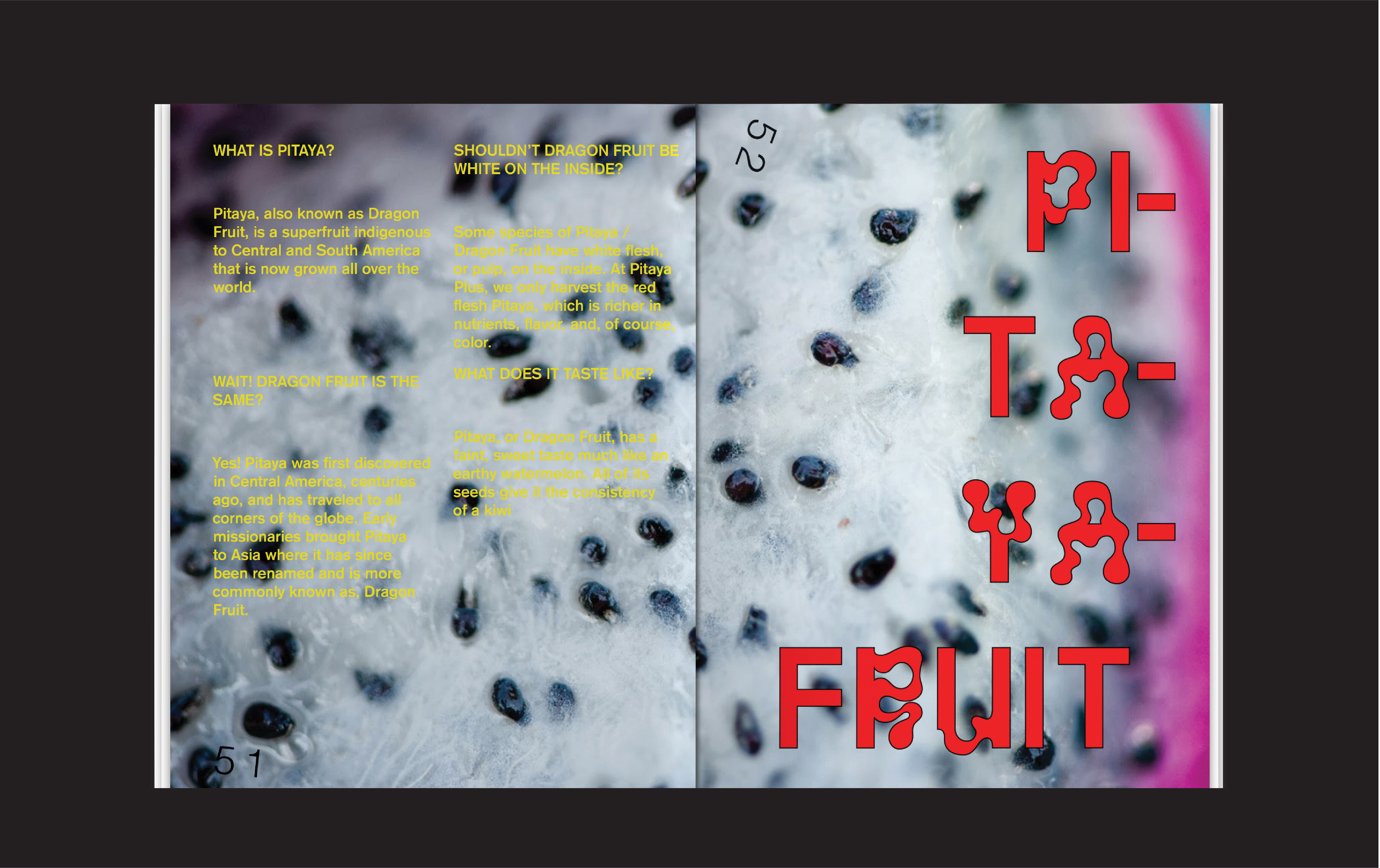 MUSH. Food Quarterly Magazine
