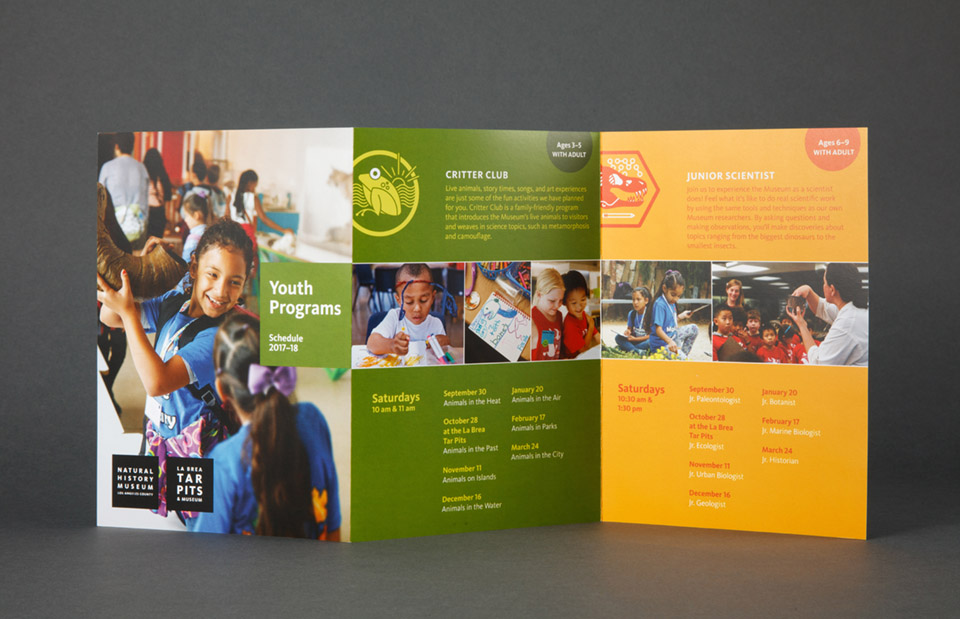 Youth Programs branding