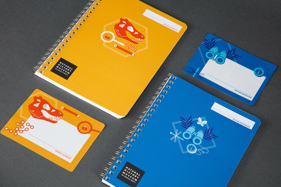 Youth Programs branding