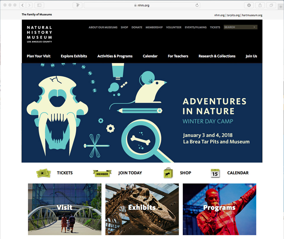 Youth Programs branding