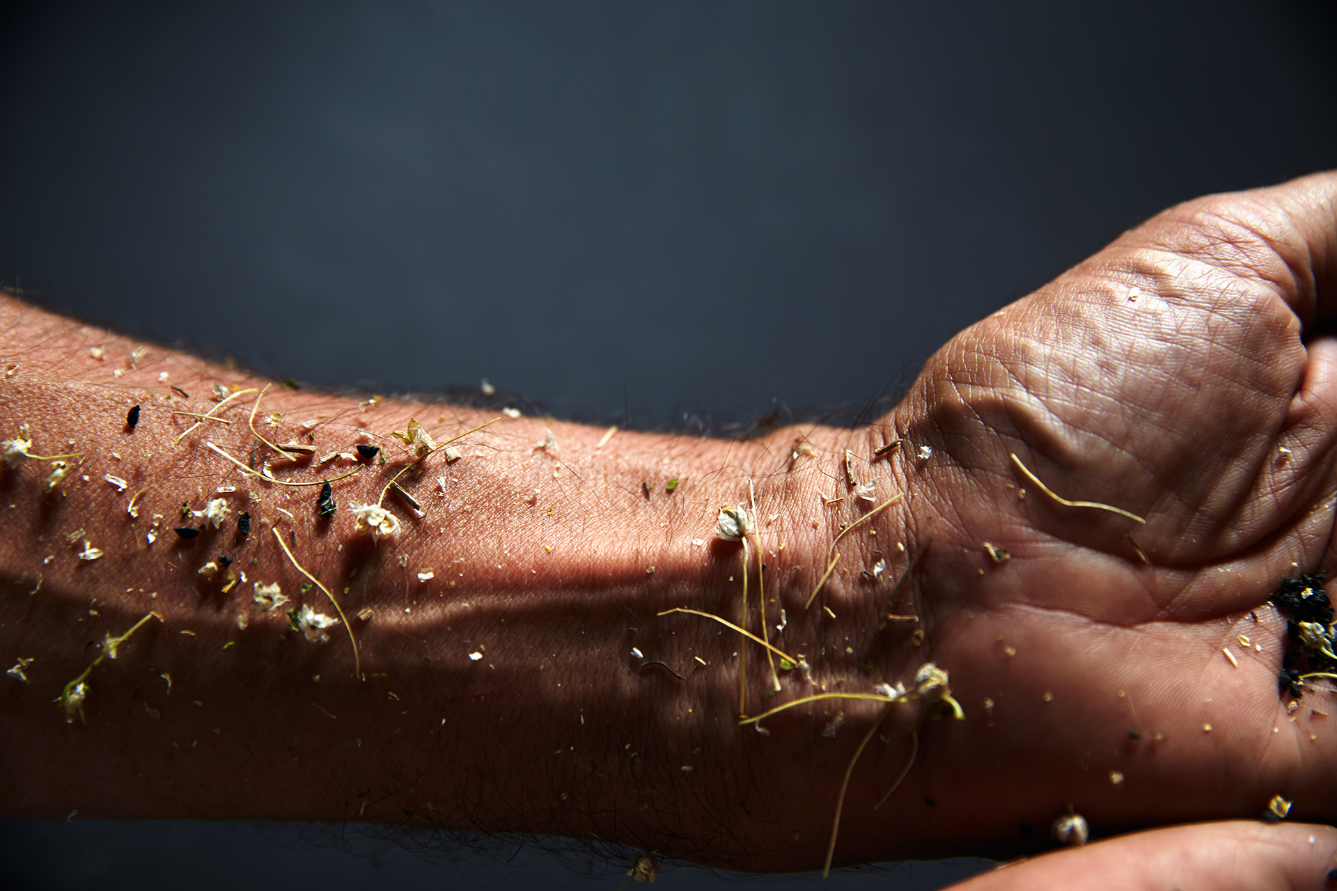 The Florist's Assistant