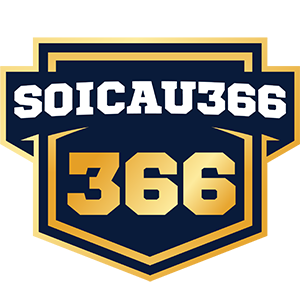 soicau 366x