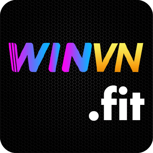 winvn fit