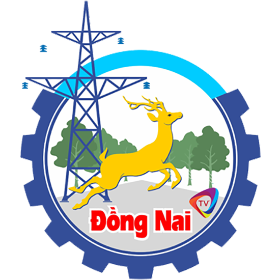 Đồng TV